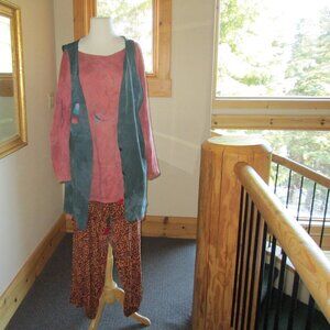 Steel Pony Long-Sleeve Tunic Tee and Vest with Cheetah Print SK & Company Pants